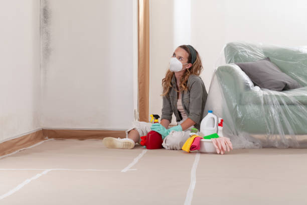Reliable Mold Remediation contractor in Bayport, NY by WQB Mold Removal